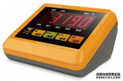 电子柠檬视频黄色网站XK3190仪表系列产品